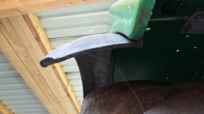 Kotflügelverbreiterungen